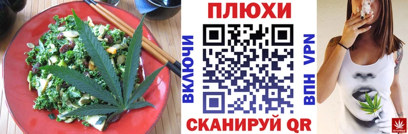 kraken как войти  наркота  Мураши  Cannafood конопля 