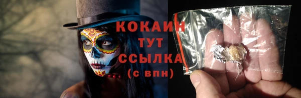 тгк Козельск