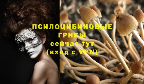 соль ск Кинешма