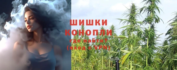 тгк Козельск