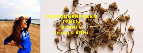 тгк Козловка