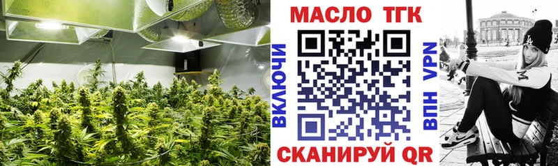 ТГК гашишное масло  что такое   блэк спрут зеркало  Мураши 
